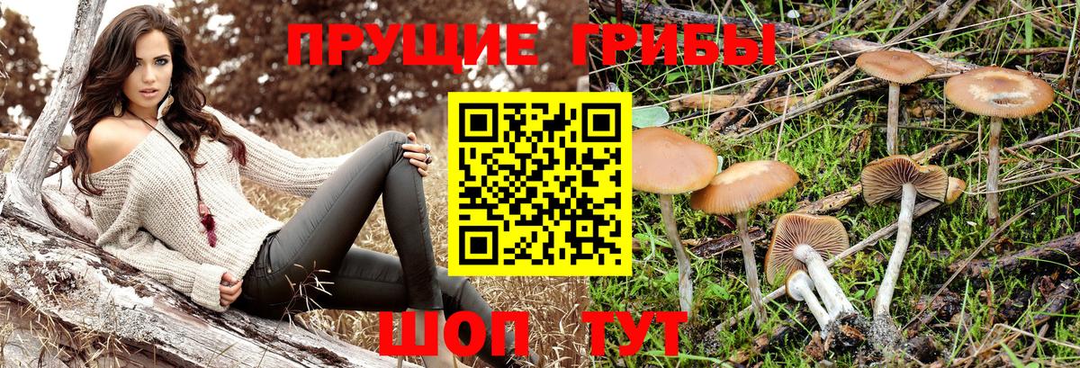 Галлюциногенные грибы ЛСД Тихорецк